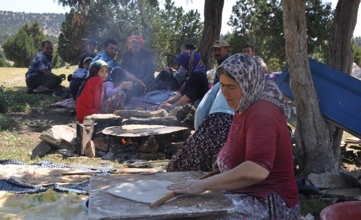 Anadolu kadınının zorlu yayla mesaisi