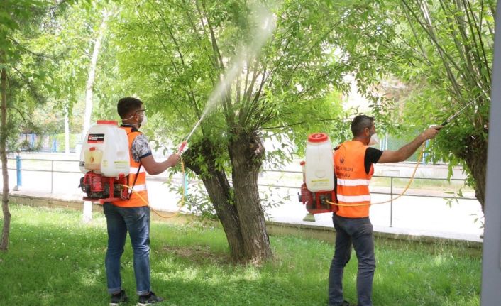 Aziziye’de haşerelere geçit yok