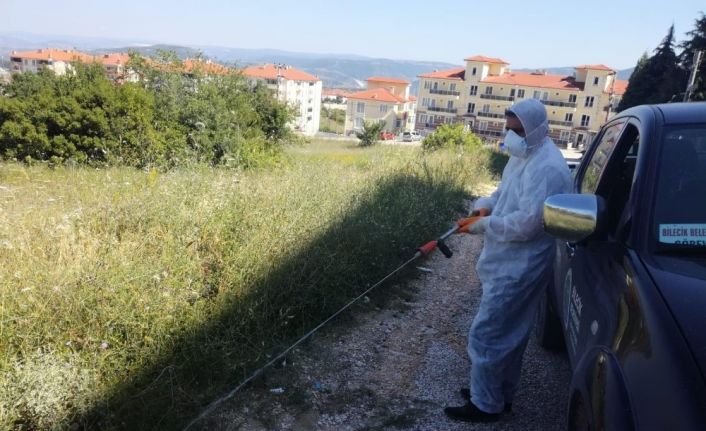 Bilecik Belediyesi’nden ’Sarıkız Örümceği’ için ilaçlama