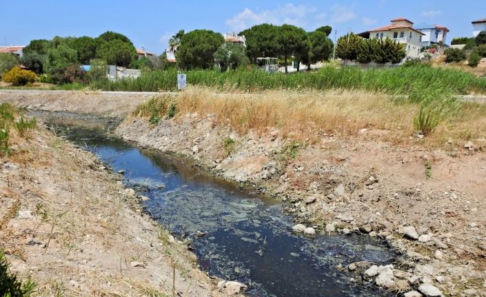 Çeşme’de dereden gelen kötü koku isyan ettirdi