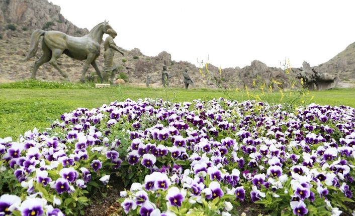 Festival alanı çiçeklerle donatılıyor