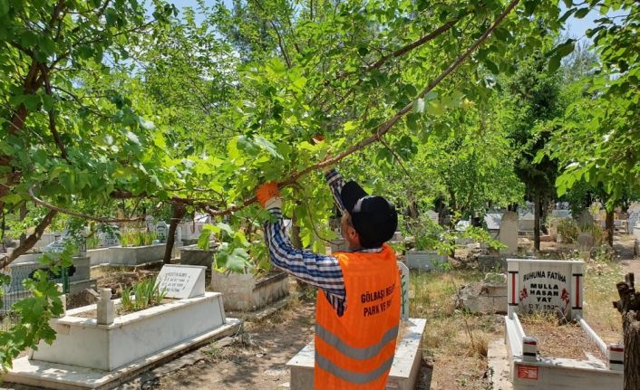 Gölbaşı Belediyesi hummalı çalışmalarını sürdürüyor