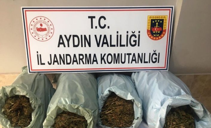 İzmir’den gelip Aydın’a kenevir etkiler