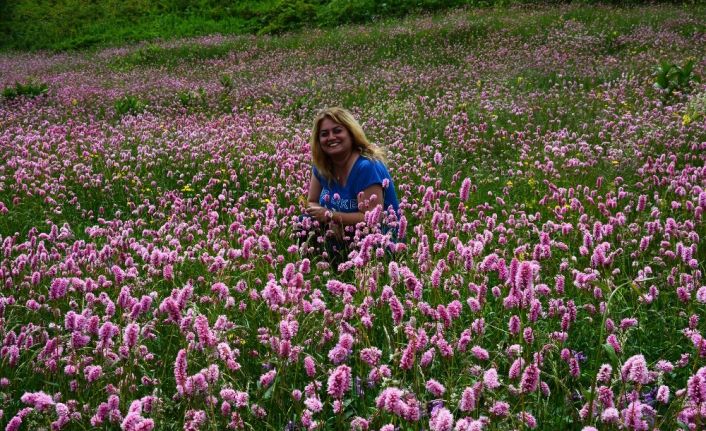 Karadeniz yaylalarında ’püsküllü’ güzellik