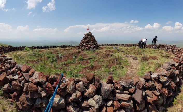 Karslı dağcılar, Yahni Dağı’na 90 fidan dikti