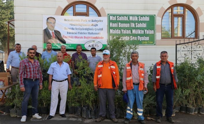 Kilis Belediyesi Asri Mezarlıkta fide dağıttı