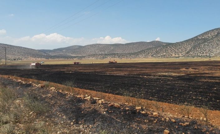 Korkuteli’nde anız ve ekin yangını