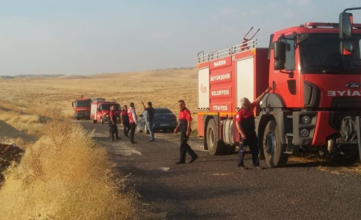 Mardin’de çıkan yangında 600 dönümlük alan kül oldu