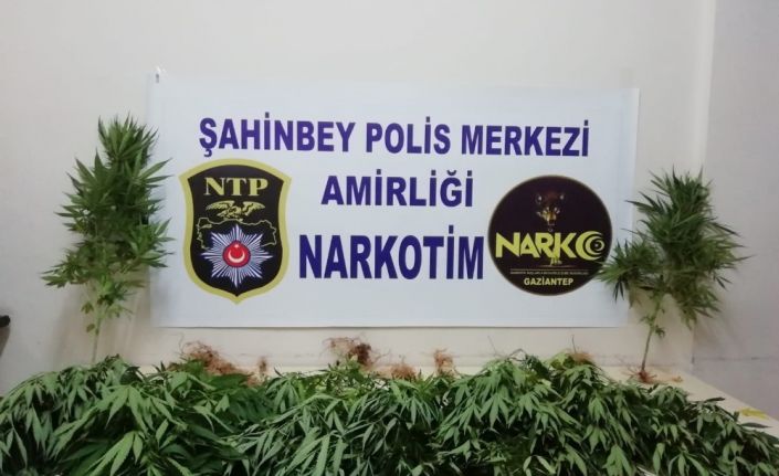 Polis uyuşturucu tacirlerine göz açtırmıyor