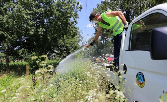 Serdivan’da ilaçlama çalışmaları hız kazandı