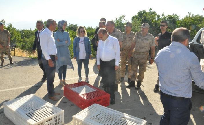 Şırnak’ta doğaya 2 bin keklik salındı