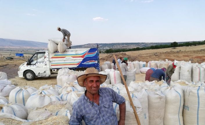 Tahılda hasattan sonra saman telaşı