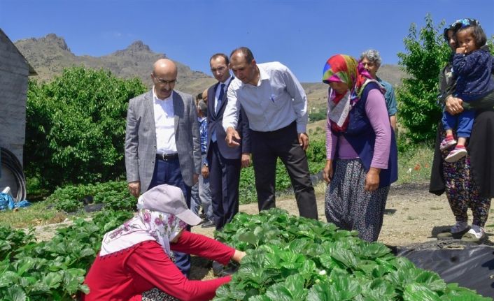 Vali Demirtaş: "Adana’nın tarımsal potansiyeli iyi değerlendirilmeli"