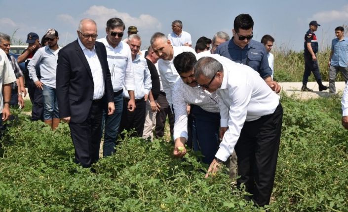 Vali Deniz Salihli’de doludan zarar gören çiftçilerle buluştu