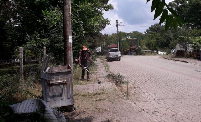 Yabani ot temizliği Balamba Caddesi’nde devam etti