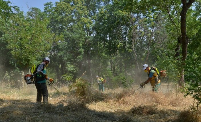 Yenişehir’deki fidanlık alanında hummalı temizlik çalışması