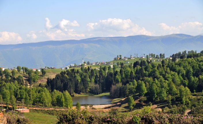 Zirvedeki doğa harikası: Hıdırnebi Yaylası