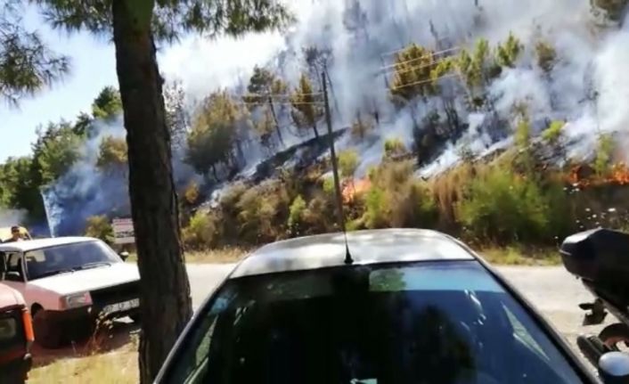 Antalya’daki orman yangını kontrol altına alındı