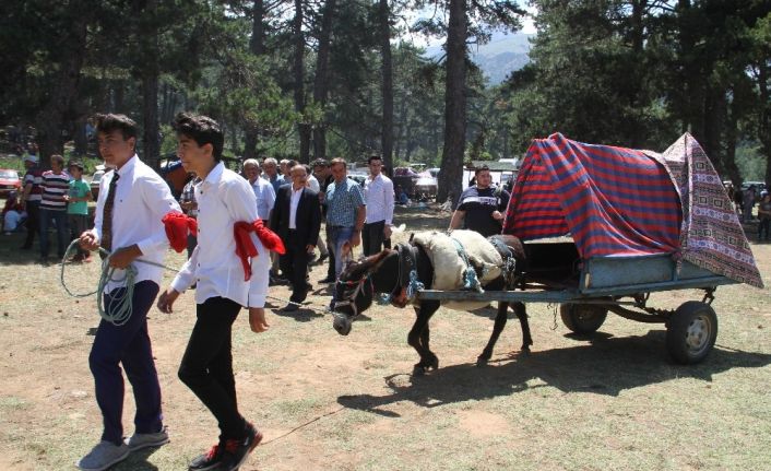 Beyşehir’de 16. Geleneksel Anamas-Dedegöl Kültür Şenlikleri yapıldı