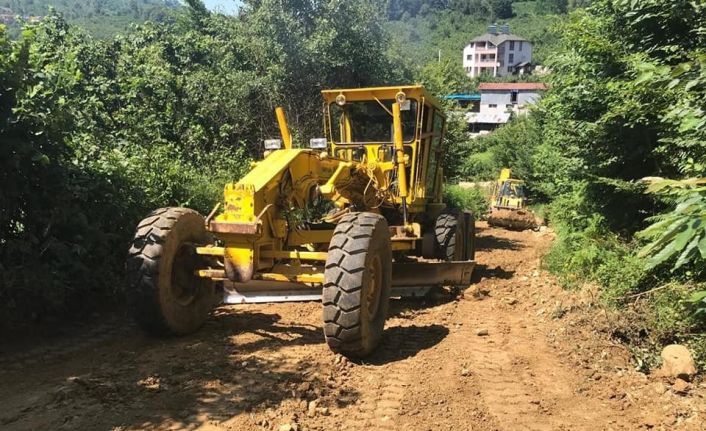 Boğaziçi’nde fındık bahçelerine ulaşım kolay olacak