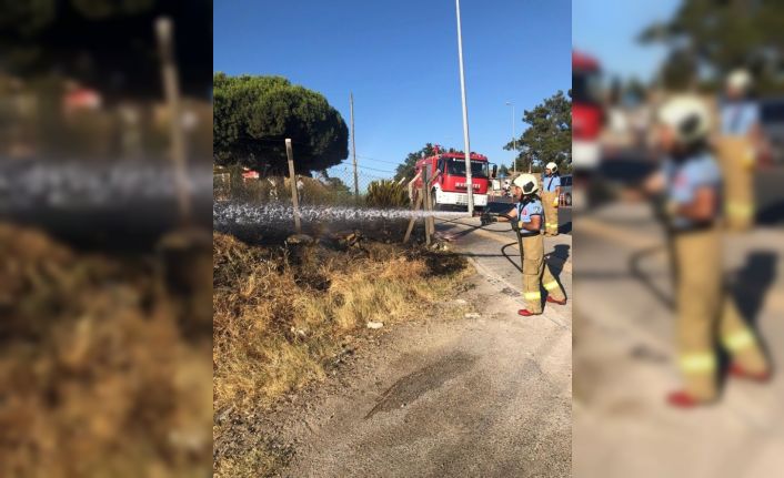 Burhaniye’de ot yangını korkuya neden oldu