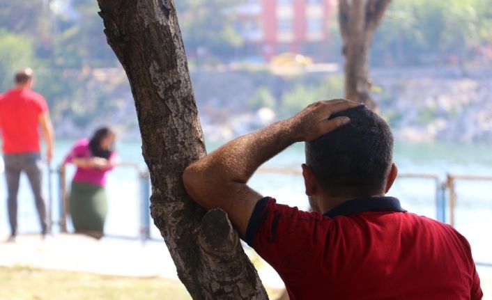 İntihara teşebbüs eden kadını, kocası ağaca yaslanarak izledi