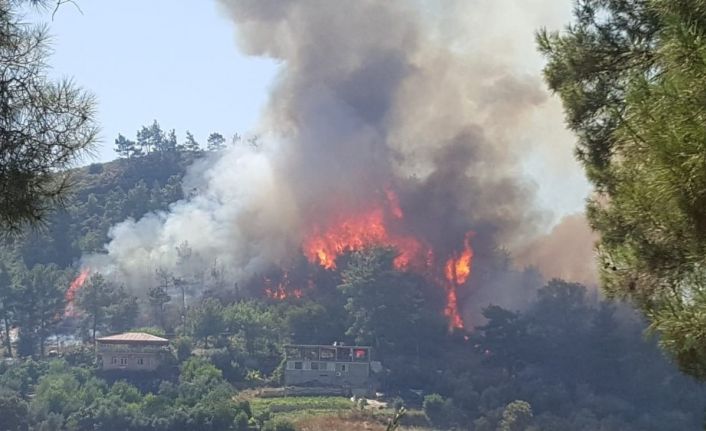 Manavgat’ta orman yangını (1)