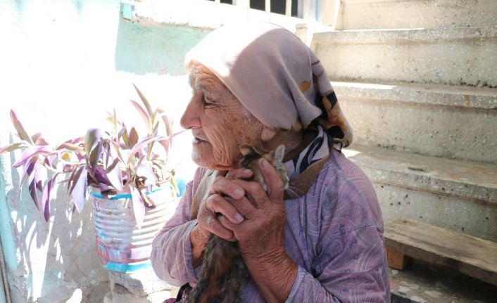 Otomobilin çarptığı kedisinin ardından gözyaşı döken yaşlı kadın yürek burktu