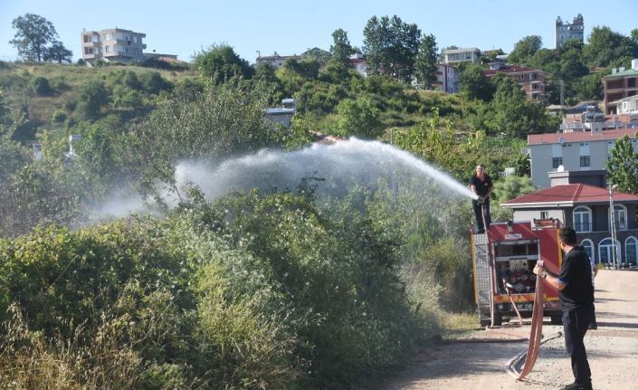 Sinop’ta ot yangını