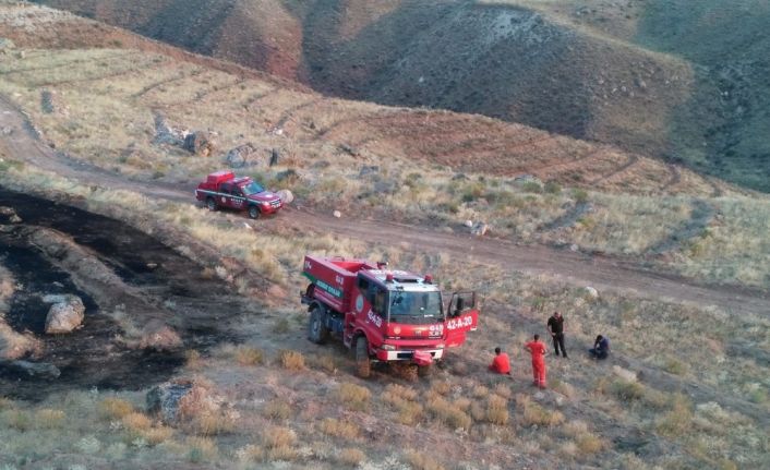 Ağaçlandırma sahasındaki yangında 250 adet fidan yandı