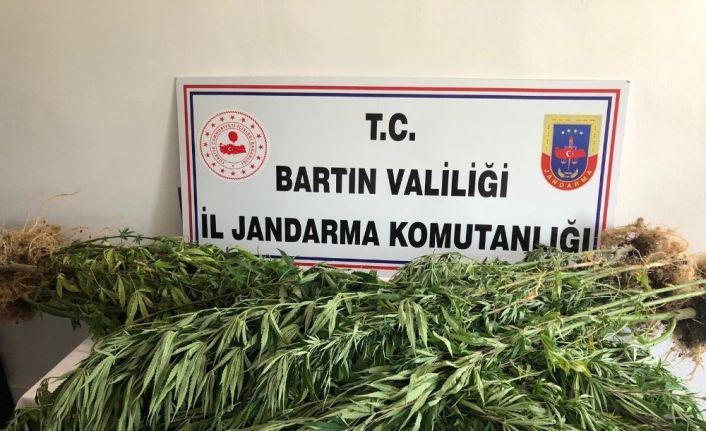 Bartın’da jandarmadan uyuşturucu operasyonu