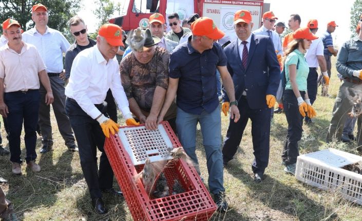 Bin keklik doğaya salındı