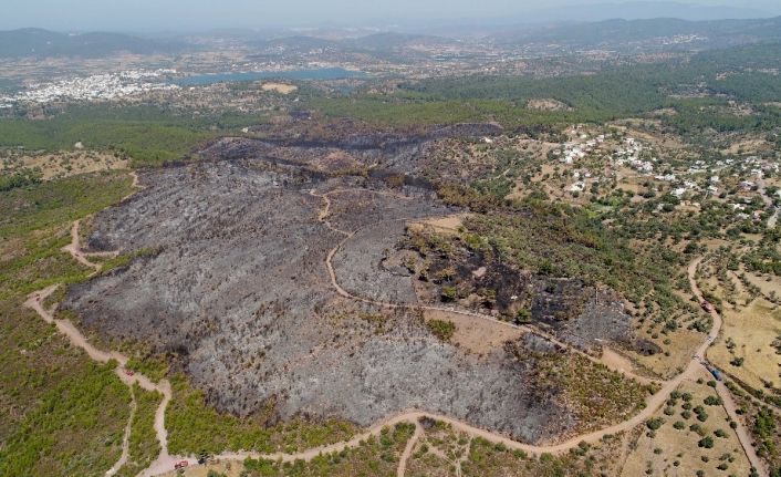 Bodrum’da kömür karasına dönen alanlar drone ile görüntülendi