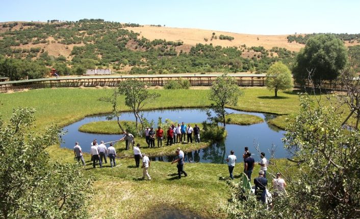 BÜ  senato toplantısı Yüzenadalar’da yapıldı