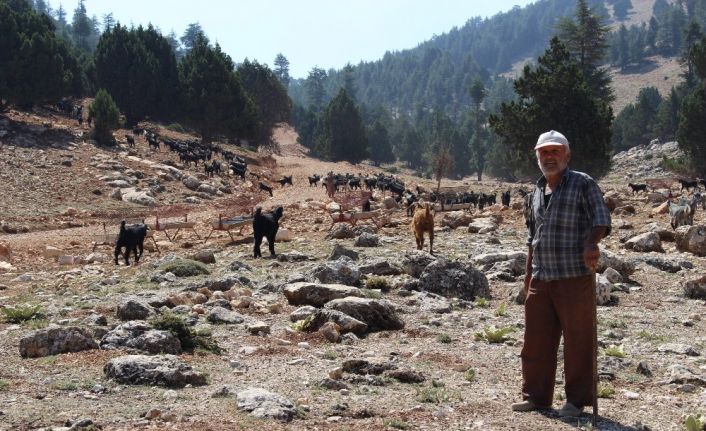 Büyükşehir, Geçmen yaylasına yeni yol açıyor