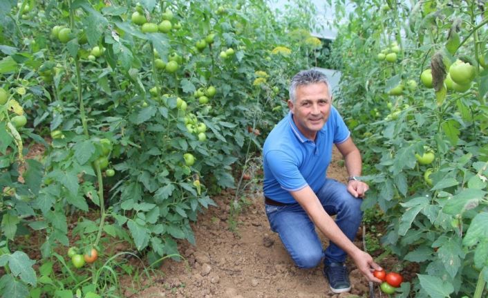 Dünyada sebzelere olan talep hızlı bir şekilde artıyor