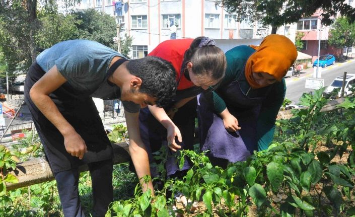 ESER’de hasat zamanı