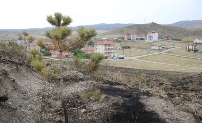 Havai fişek yangın çıkarttı