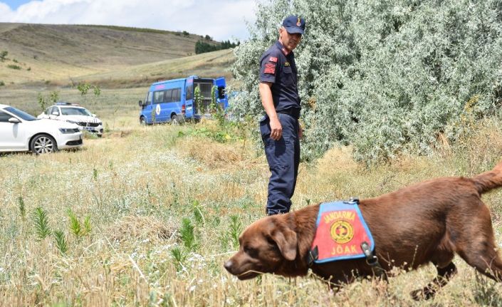 Kayıp katip kadavra ve iz takip köpekleriyle aranıyor