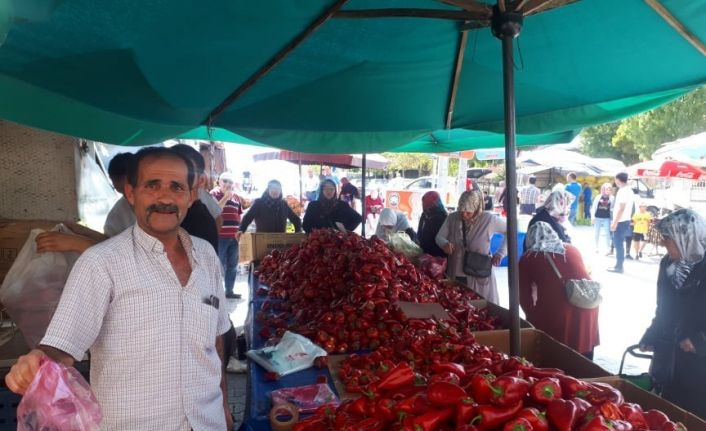 Kırmızı bibere ilgi