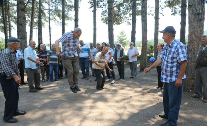 Koca çınarların piknik keyfi