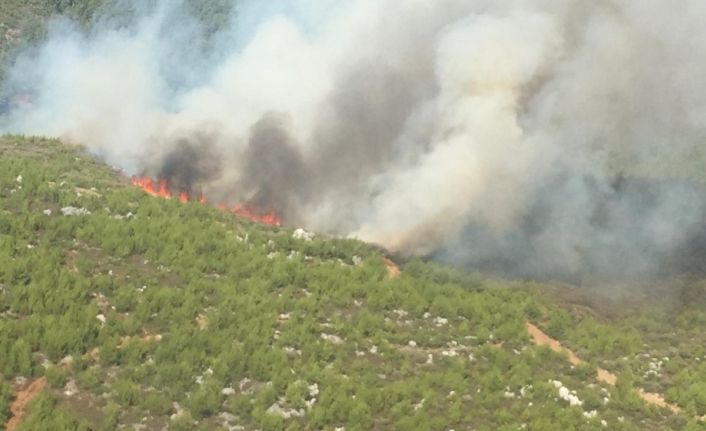 Muğla’da ikinci büyük orman yangını