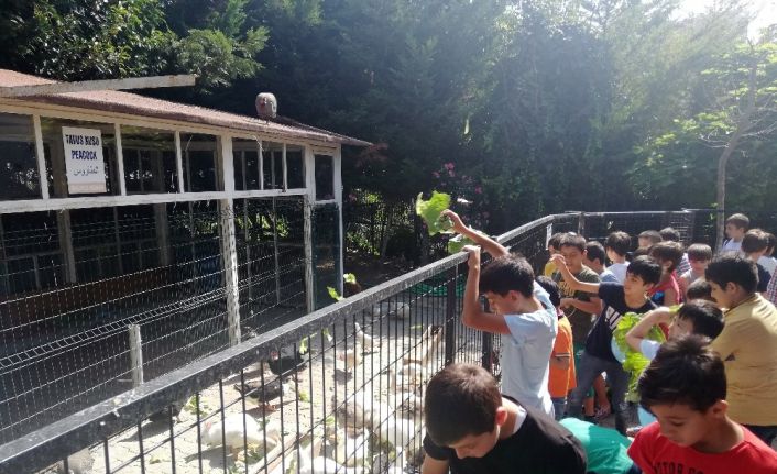 Öğrencilerden, Türkiye Deniz Canlıları Müzesi’ne ziyaret