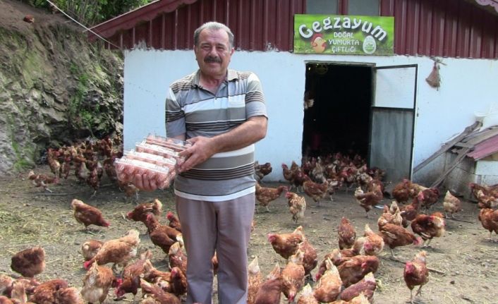 Polislikten emekli olununca organik tavuk çiftliği kurdu