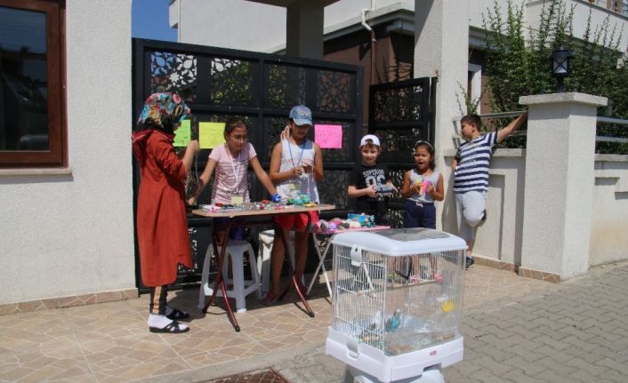 Sokak hayvanları çocukları harekete geçirdi