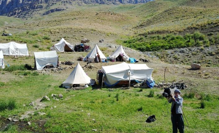 Yıllardır gidilemeyen yaylalarda silah sesi yerini koyun kuzu seslerine bıraktı