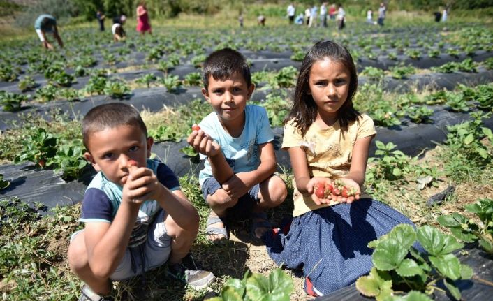 Adana’da tarımı güçlendirme projeleri