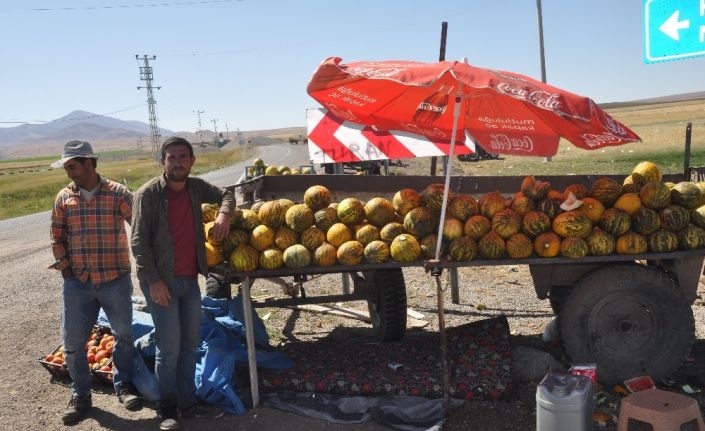 Balotu kavunu piyasaya çıktı