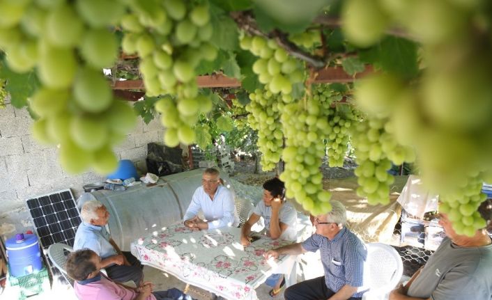 Başkan Tarhan’dan en az oy aldığı Tol Mahallesi’ne ziyaret