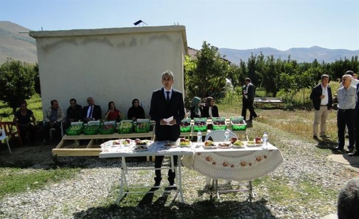 Doğanşehir’de elma hasat günü düzenlendi